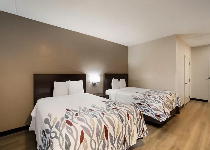 Motel: Red Roof Inn Tucson North - Marana